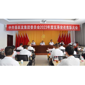 集團(tuán)黨委隆重召開優(yōu)秀黨員表彰大會(huì)
