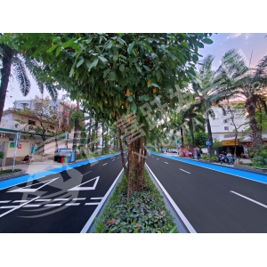 云南省景洪市市政彩色非機動車道